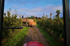 IMG_20190905_181824
