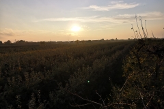 IMG_20191021_172234