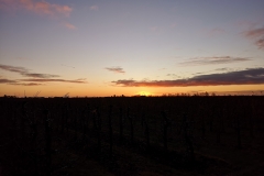 IMG_20191130_081403